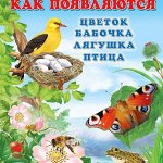 Красочные детские книжки Фламинго от 25 руб