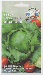 Салат Авангард (Код: 76766)