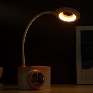 RISALUX Лампа настольная 1673/1 LED 2Вт 2 режима 3000-6000К USB АКБ МИКС 11,5х9х42 см