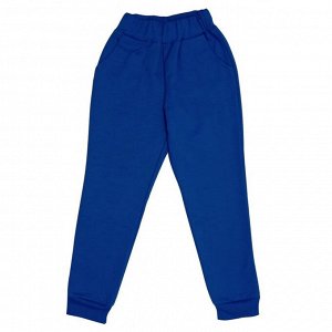 Спортивные штаны 381/16 (синие)