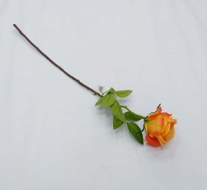 Роза Высота роз 70см,выс.бутона 7.5см⊙10см