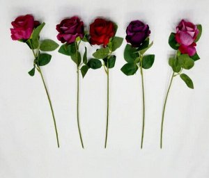 Бархатные розы