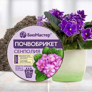 Почвобрикет Сенполия, 2,5л, круглый БиоМастерМастер почвобрикет 2,5 л. Сенполия, круглый (1/33)