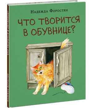 Что творится в обувнице?