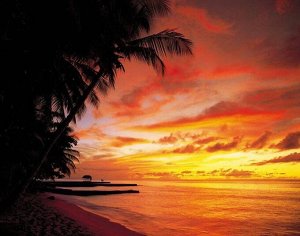Фотообои Пальмы, пляж, закат