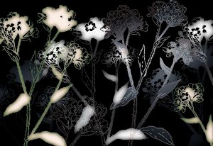 Фотообои Черно белые цветы