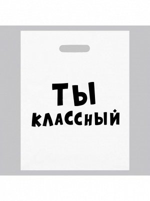 Пакет полиэтилен Ты классный с вырубной ручкой 31 х 40 см