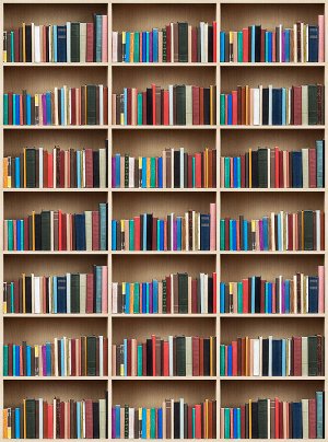 Фотообои Книжный шкаф