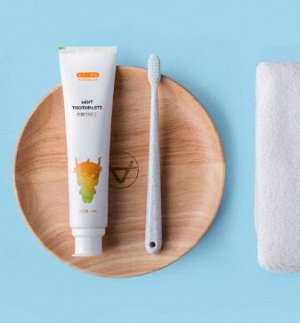 Мятная зубная паста Mint Toothpaste NANO