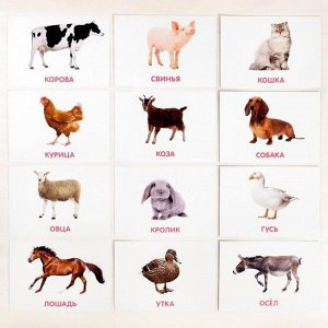 Обучающие карточки по методике Глена Домана «Домашние животные и птицы», 12 карт, А5