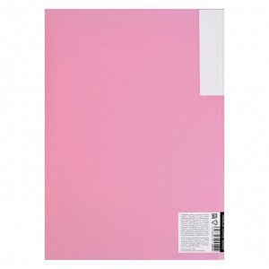Папка А4, 20 вкладышей формата А3, 500 мкм, deVENTE Pastel, песок, с клапаном, розовая