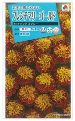 French Marigold - Французские бархатцы
