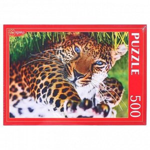 Пазлы 500 элементов «Леопард на траве»
