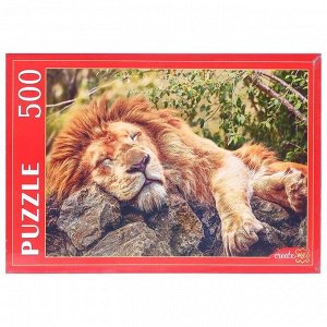 Пазлы 500 элементов «Спящий лев»
