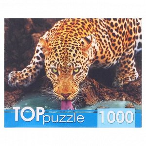 Пазлы 1000 элементов «Красивый леопард»