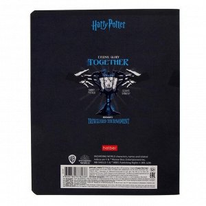Тетрадь 48 листов в клетку "Гарри Поттер", обложка мелованный картон, матовая ламинация, блок офсет, МИКС