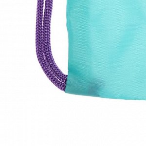 Мешок для обуви с карманом на молнии, 415 х 340 мм, светоотражающая полоса, «Фламинго в очках»