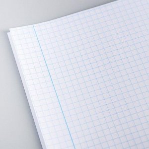 Тетрадь школьная 12л., КЛЕТКА, 5 видов МИКС, обложка мелованный картон, «Принцессы»