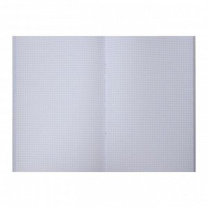 Тетрадь А4, 96 листов в клетку «Леттеринг», обложка мелованный картон, блок офсет, МИКС