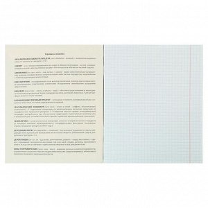 Тетрадь предметная «Серебряный стиль», 48 листов в клетку «География», обложка мелованный картон, тиснение лён, блок офсет