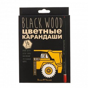 Карандаши цветные 36 цветов BlackWoodColor, МИКС