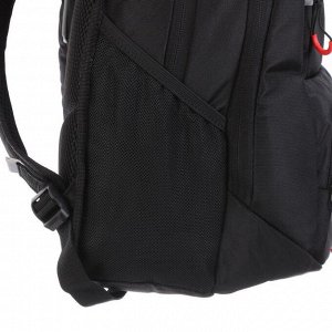 Рюкзак молодёжный с эргономичной спинкой Grizzly, 43 х 31 х 20, чёрный/серый