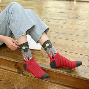 14046 Дизайнерские носки серии Мир Хаяо Миядзаки "Унесенные призраками", р-р 36-40 (красный)