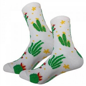 33160TR Дизайнерские носки серии В гармонии с природой "Кактусы цветут", р-р 36-42 (белый)