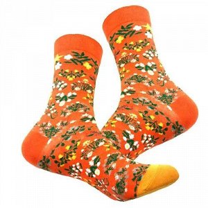 23604 Дизайнерские носки серии В гармонии с природой "Поляна маргариток", р-р 35-42 (оранжевый), 2690000023604