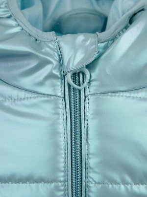 Куртка Состав: Верх- 100% полиэстер, Покрытие- 100% полиуретан, Подкладка- 60%хлопок, 40%полиэстер, Наполнитель- 100%полиэстер, 150г/м2
Цвет: голубой
Год: 2021
*	Куртка демисезонная
*	ткань верха с во