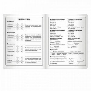 Дневник 1-4 класс 48 л., обложка кожзам (твердая), печать, аппликация, ЮНЛАНДИЯ, &quot;МИЛАЯ КОШКА&quot;, 105480