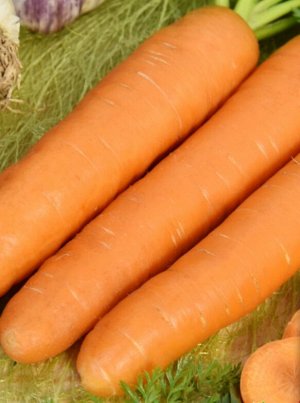 Витаминная 6 2г НОВИНКА СО морковь
