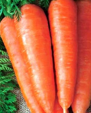 Морковь Драже Канада А
