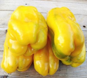 Перец Жёлтый Монстр — Yellow Monster Pepper