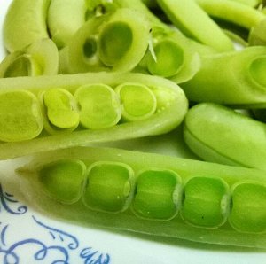 Снеп Горох Цветок Магнолии — Snap Magnolia Blossom Pea