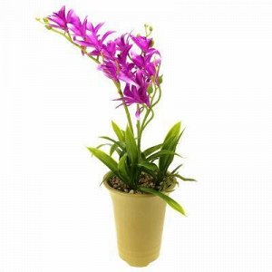 Цветочная композиция "Орхидея" h45см, в пластмассовом горшке