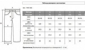 Брюки RAE 666.