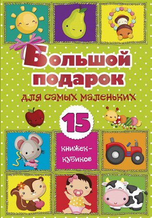 . Большой подарок для самых маленьких. 15 книжек-кубиков!