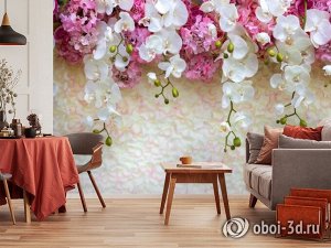 3D Фотообои «Ниспадающие орхидеи»