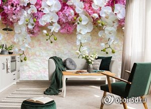 3D Фотообои «Ниспадающие орхидеи»