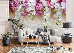 3D Фотообои «Ниспадающие орхидеи»