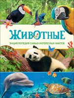 Животные. Энциклопедия самых интересных фактов 128стр., 282х220х11мм, Твердый переплет