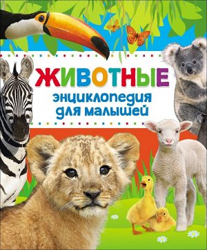 Животные. Энциклопедия для малышей 144стр., 240х203х10мм, Твердый переплет