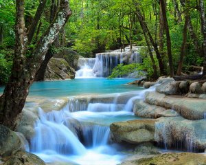 Фотообои Водопад в зеленом лесу