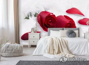 3D Фотообои  «Красные розы в перьях»