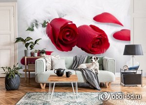 3D Фотообои  «Красные розы в перьях»