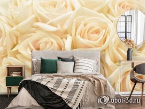 3D Фотообои «Ковер из бежевых роз»