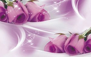 3D Фотообои «Сиреневые розы на шелке»