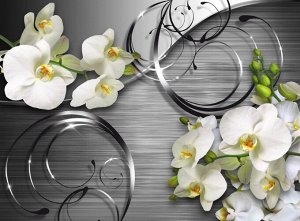 3D Фотообои «Орхидеи на серебристом металле»