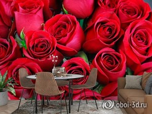 3D Фотообои «Нежные бордовые розы»